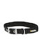 Kerbl Miami Plus Κολάρο Σκύλου σε Πράσινο χρώμα 30mm x 53cm