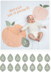 Lulujo Baby Photography Sheet