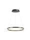 Denver Pendant Light Black LED with Warm White Light