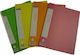 Avant Clipboard Flexible with 40 plastic sleeves Slides for Paper A4 (Μiscellaneous colours) 1pcs