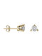 Earrings made of Gold 14K