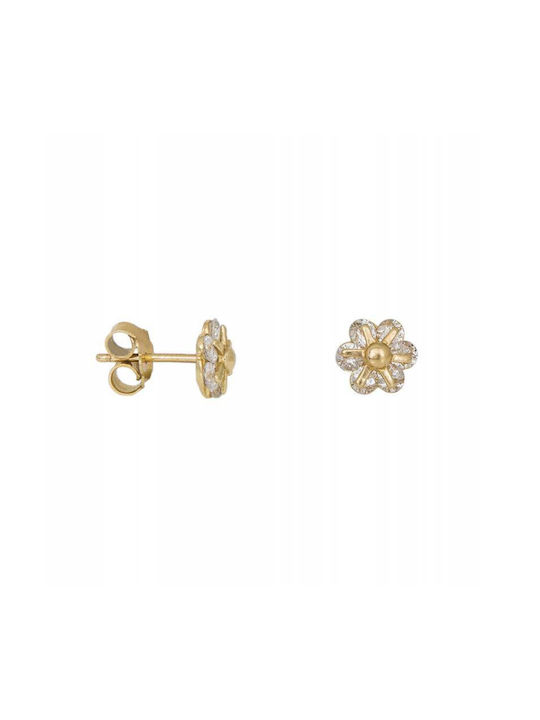 Earrings made of Gold 14K