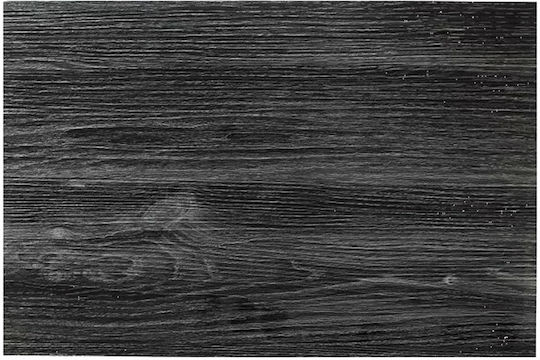 Leone Σουπλά Πλαστικό Μαύρο 45x30cm 12τμχ