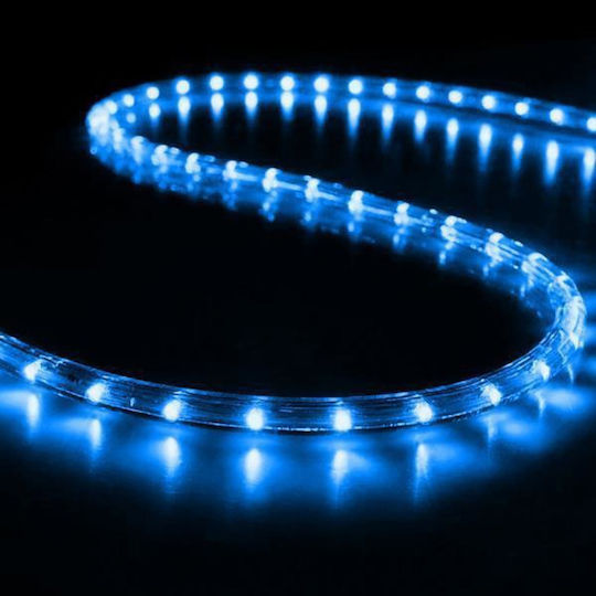 Christmas Light Tube Red 24V 50m IP65