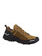 Salewa Pedroc Ptx Pantofi De Drumeție Pentru Bărbați Maro