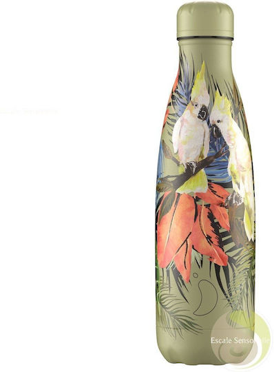 Chilly's Series Tropical Bottle Thermos Stainless Steel BPA Free 500ml Green