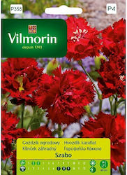 Vilmorin Seeds Clove