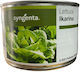 Syngenta Samen Salat Römersalat 5000Stück