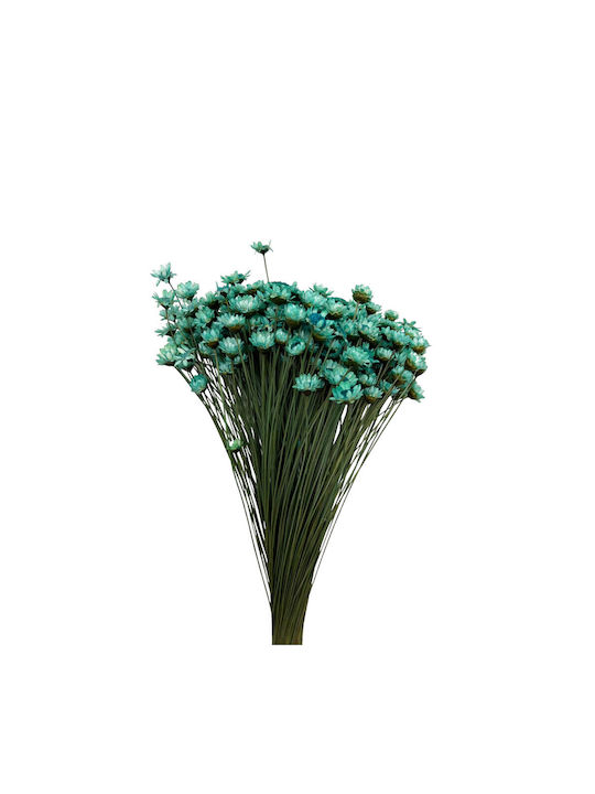 Dried Plant Green 40cm 1pcs