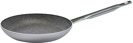 Ready Ballarini Aluminum Pan with Lid with Non-Stick Interior Coating