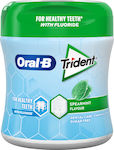 Trident Trident Oral-B Δυόσμος Μπουκάλι 68gr