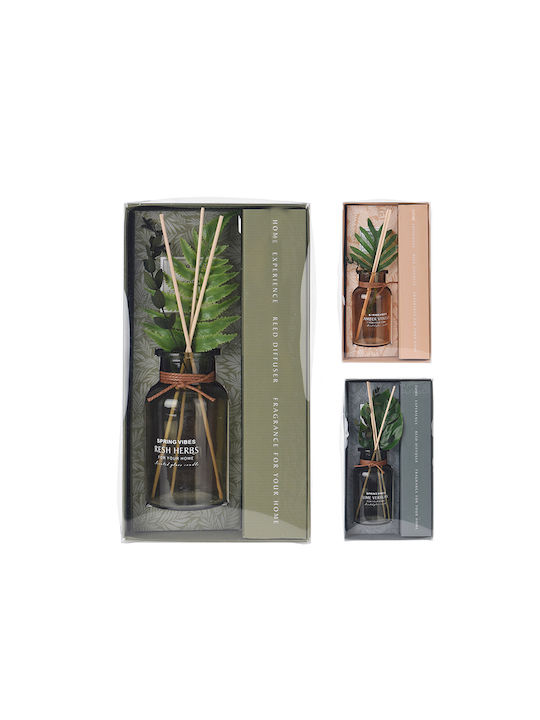 Zaros Σετ Diffuser 24649 3τμχ 200ml