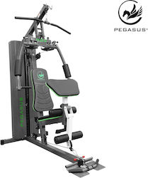Pegasus HG2 Мултифункционална машина за фитнес с Тежести 93кг