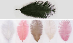 Craft Feathers Set of 10pcs