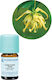 Florihana Extra Organic Βιολογικό Αιθέριο Έλαιο Ylang-ylang 5ml