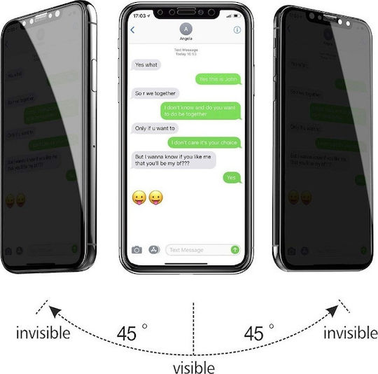 Privatsphäre Vollflächig gehärtetes Glas (iPhone 15 Plus / 16 Plus)