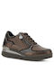Cream Anatomical Sneakers Coffee