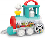 Hola Toys Pull-Along Toy Push Along - Train Engine for 6++ Months