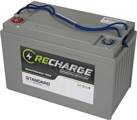 Standard Recharge UPS Battery with Capacity 125Ah and Voltage 12V 1pcs