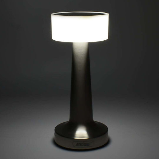 Andowl Decorative Lamp Silver