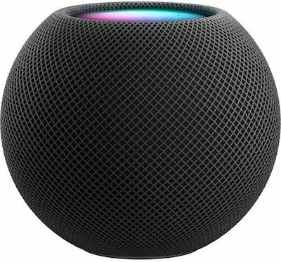 Apple HomePod mini Smart Hub mit Lautsprecher Kompatibel mit Apple HomeKit Schwarz Raumfahrt Grau