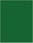 Fabriano Canson Cardboard Green 70x100cm