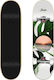 Aloiki Coast Complete Shortboard