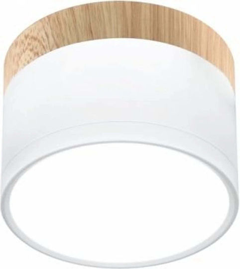 Candellux Таванно осветление Бяла с Вграден LED