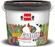 Berling Anti-Graffiti Surface Varnish Clear Gloss