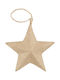 Christmas Star Ornament