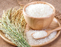 HealthTrade Bio Reis Glasur 1Stück 1kg