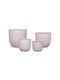 Supergreens Flower Pot Pink C-3270-8