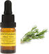 Rosemary Essential Oil 10ml