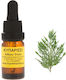 Cypress Essential Oil 10ml