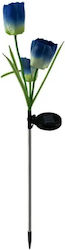 Set of 2 Stake Solar Lights Set of 2 Stake Solar Lights