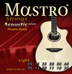 Mastro Acoustic Guitar Strings Set 9-46