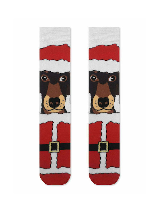 TST Christmas Dog Christmas Socks Red