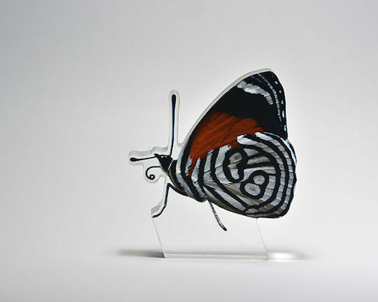 Διακοσμητική Πεταλούδα από Πλαστικό 6.5x12cm