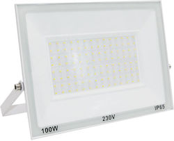 Adeleq Στεγανός Προβολέας LED 100W Ψυχρό Λευκό 6200K IP65