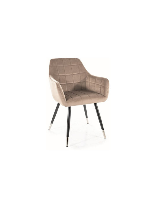 Armchair Dining Room Nuxe Beige