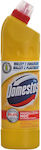 Domestos Reiniger Toilette 750ml