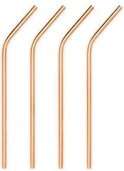 Bar Professional Metallische Strohhalme mit Bürste