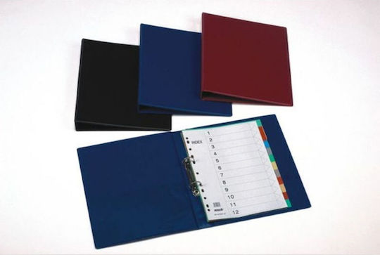 Vivian Plast Biblioraft 4/30 pentru Hârtie A4 cu 2 Rings Inele 1buc