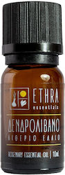 Ethra Essentials Essential Oil Rosemary 10ml