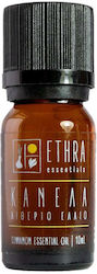 Ethra Essentials Essential Oil Cinnamon 10ml