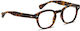 Moscot Lemtosh Plastic Eyeglass Frame Brown Tor...