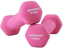 Songmics Haltere Din Neopren 1 x 0.5kg Songmics Haltere Din Neopren 1 x 0.5kg