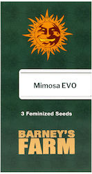 Barneys Farm Seeds