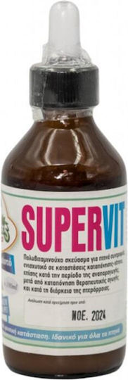 Evia Parrots Super Vit Πολυβιταμίνες για Ωδικά Πτηνά 100ml