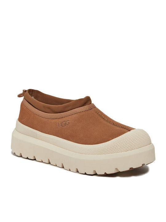 Tasman Heel Enclosed Leather Men's Slippers Brown